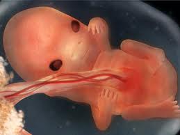 A várandósság kilencedik hete