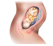 A várandósság harmincadik hete