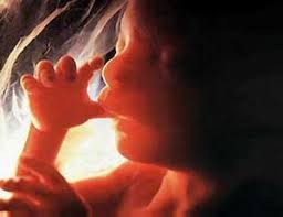 A várandósság tizenharmadik hete