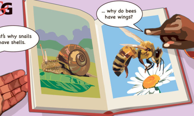 Angol nyelvű foglalkozás ovisoknak