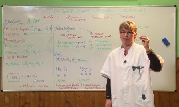 Magyar nyelvű távoktatás indul a Pannon Televízióban