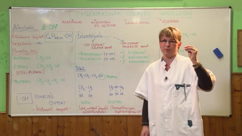 Magyar nyelvű távoktatás indul a Pannon Televízióban