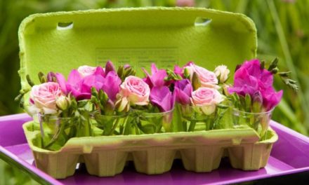 Ezt készítsetek a tojástartókból