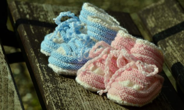 Két nap alatt nyolc baba született a Szabadkai Közkórházban