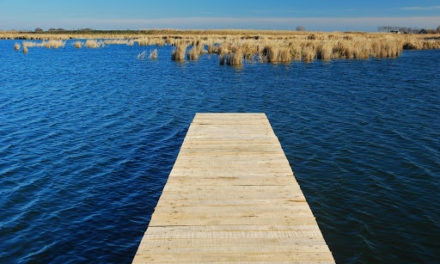 Tanösvény és bemutatókert épült a Ludasi-tó partján