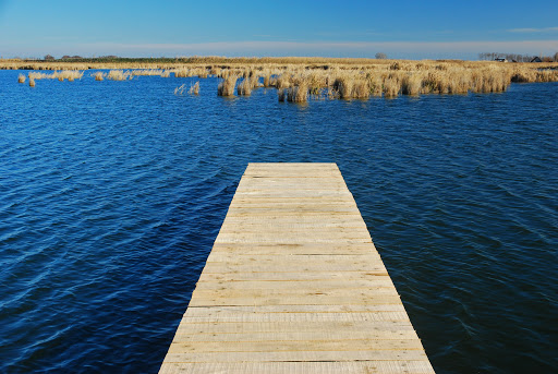Tanösvény és bemutatókert épült a Ludasi-tó partján