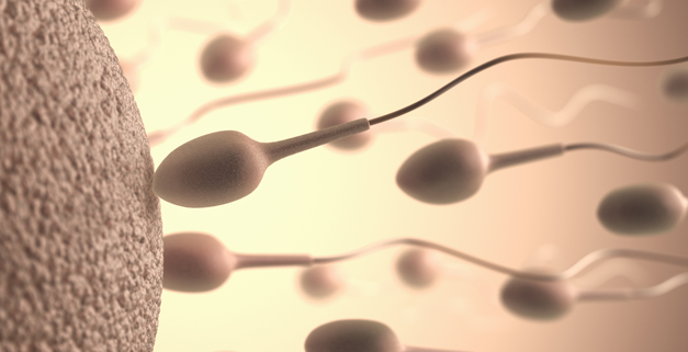 Méhen kívüli megtermékenyítés: Mostantól korlátlan lehet a próbálkozások száma Szerbiában