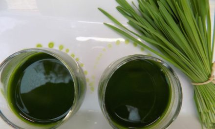 Az igazi vitaminbomba a gyereknek – Miért igyon a család zöld búzafűlevet?