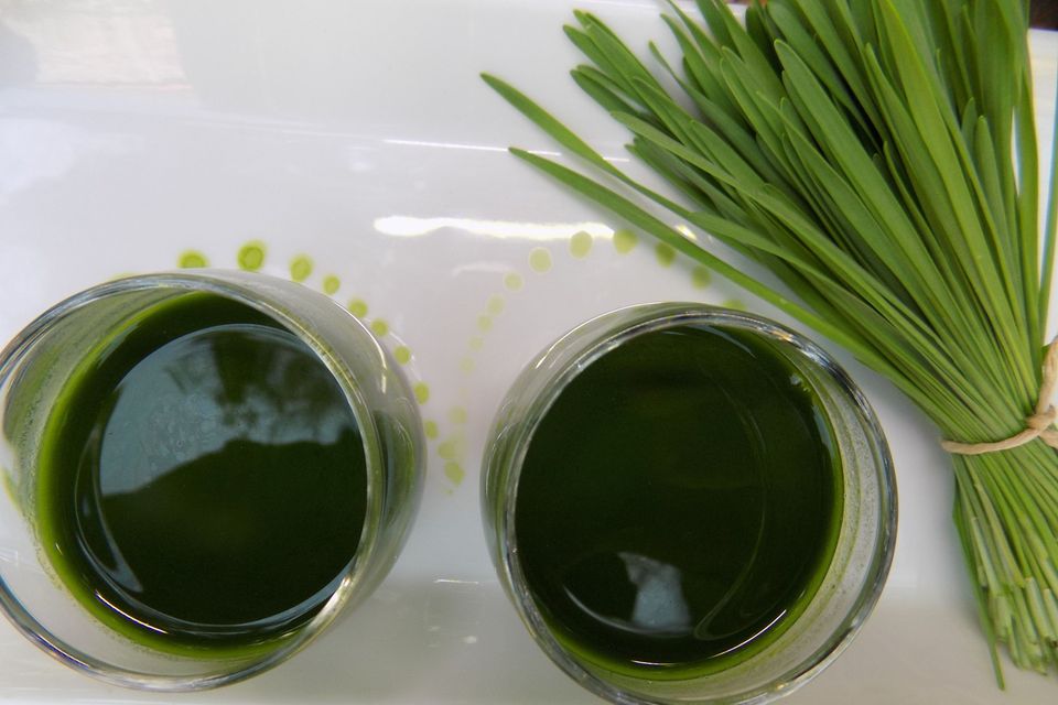 Az igazi vitaminbomba a gyereknek – Miért igyon a család zöld búzafűlevet?