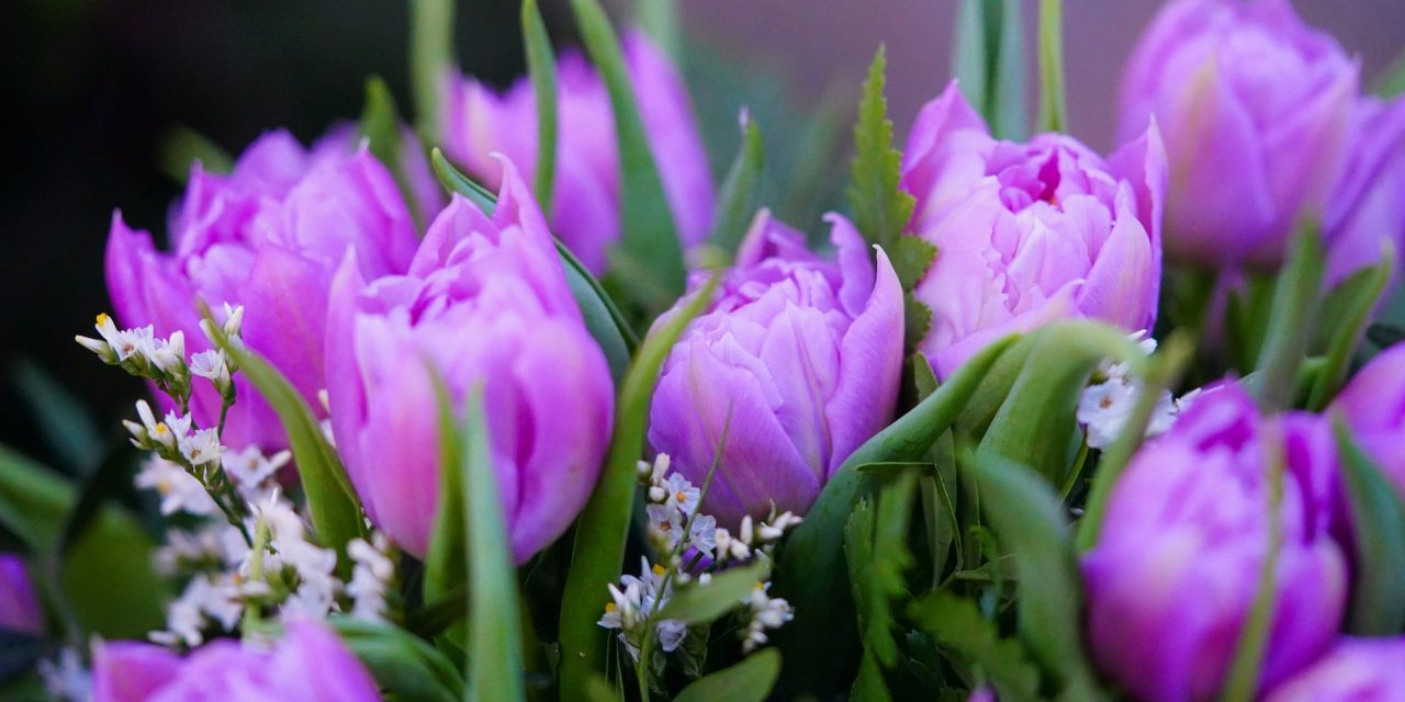 Születésnapodra – Szüléstörténet