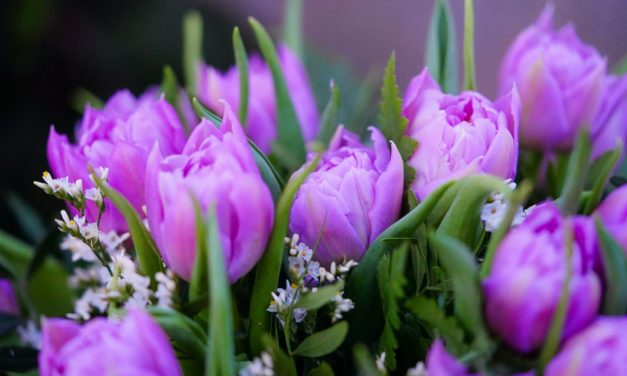 Születésnapodra – Szüléstörténet