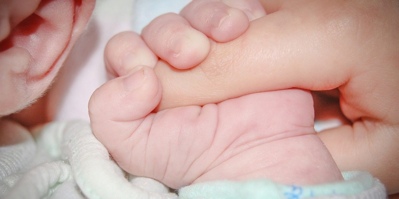 Százegy baba született júniusban Szabadkán