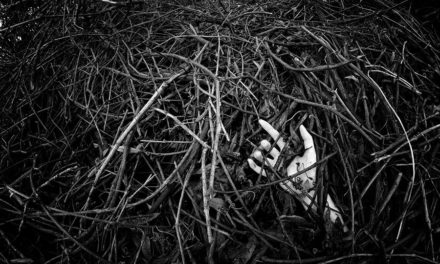 Egy nemi erőszak története