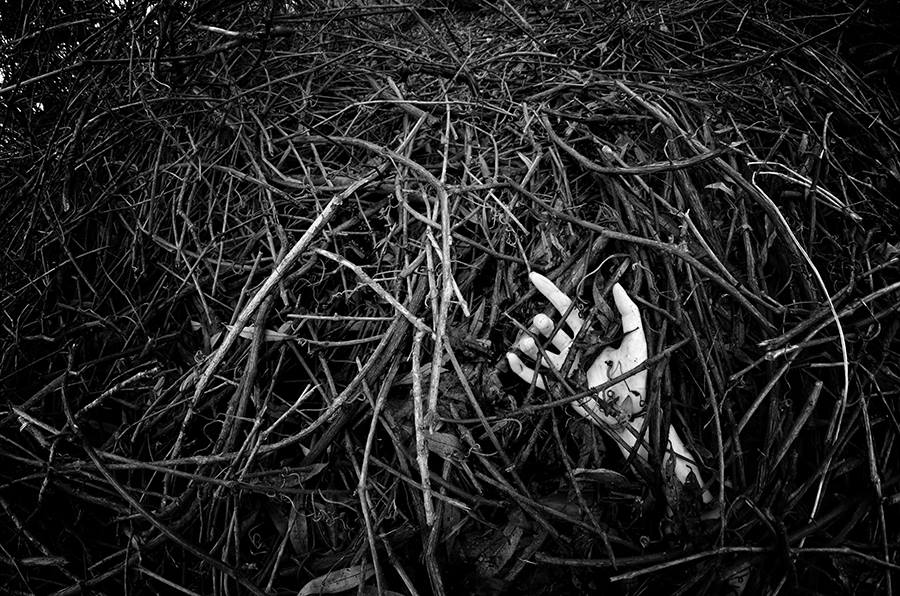 Egy nemi erőszak története