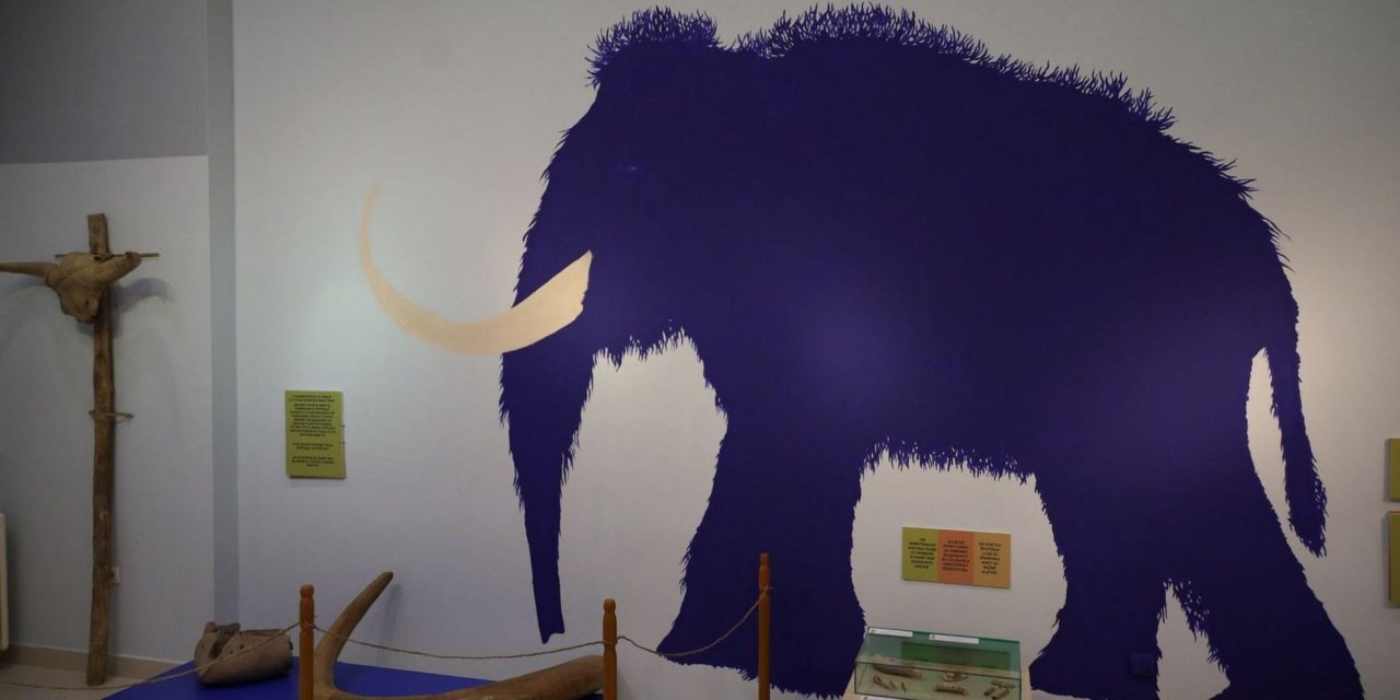 Izgalmas kiállítás gyerekeknek a Szabadkai Városi Múzeumban