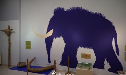 Izgalmas kiállítás gyerekeknek a Szabadkai Városi Múzeumban