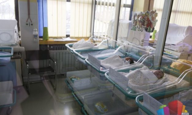 Szabadka első babái