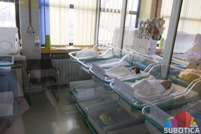 Szabadka első babái