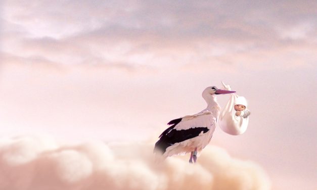 Huszonnyolc baba született egy hét alatt Szabadkán