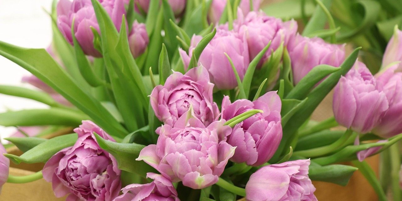 Nőnapi készülődés gyerekekkel