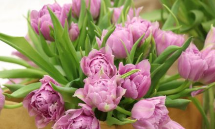 Nőnapi készülődés gyerekekkel