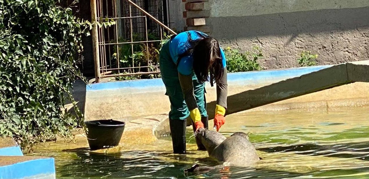 Majális Palicson: Vidámpark és az állatkert várja a látogatókat