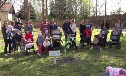 Újszülöttek fáját ültettek Horgoson