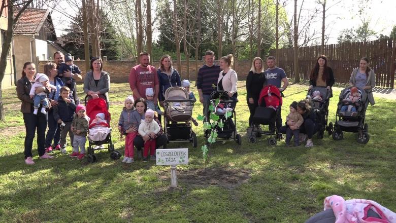 Újszülöttek fáját ültettek Horgoson