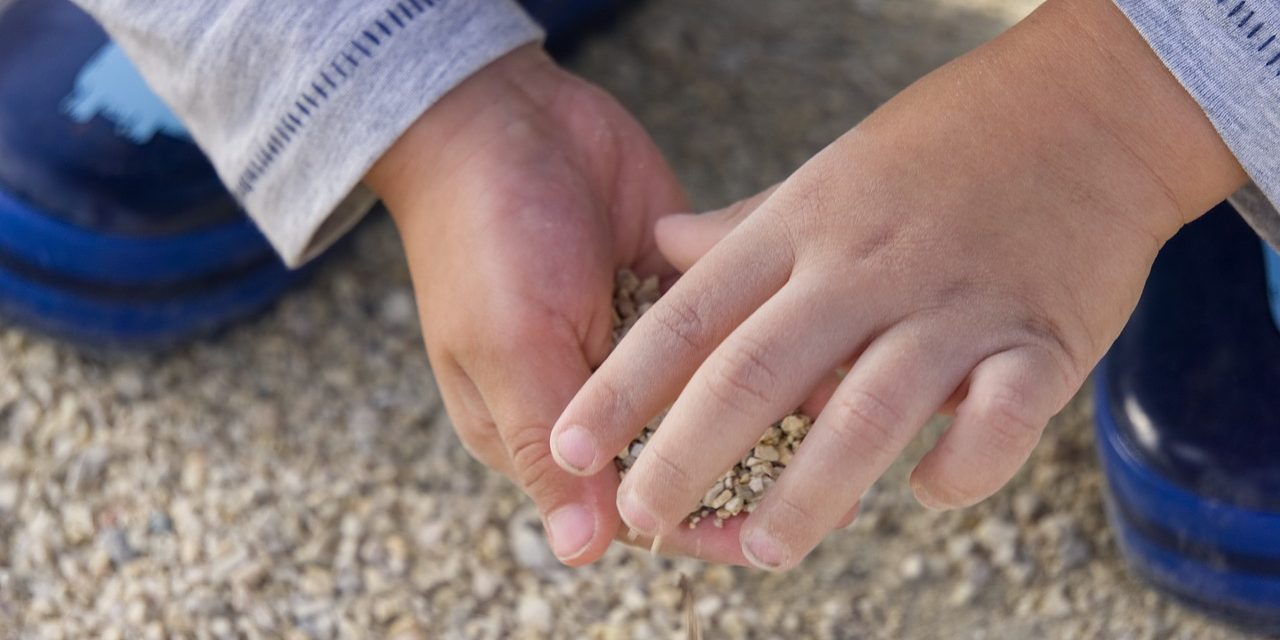 Rágja a falat a gyerek