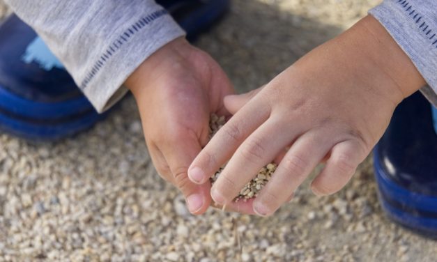 Rágja a falat a gyerek