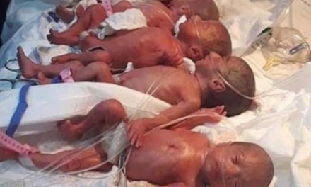 Kilences ikreket szült egy mali nő