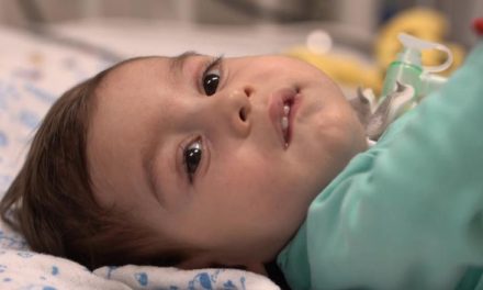 Olivér hazajöhet, Gavrilo pedig megérkezett Budapestre