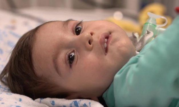 Olivér hazajöhet, Gavrilo pedig megérkezett Budapestre