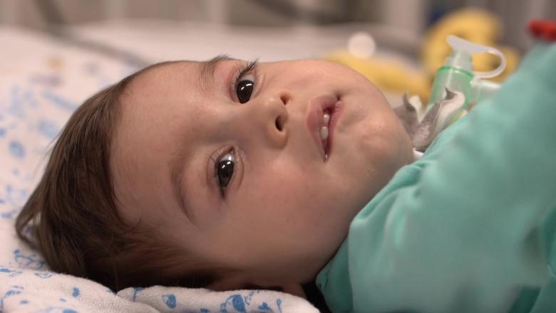 Olivér hazajöhet, Gavrilo pedig megérkezett Budapestre