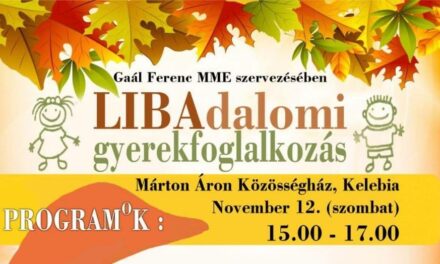 Libadalomi gyerekfoglalkozás a kelebiai Márton Áron közösségi házban